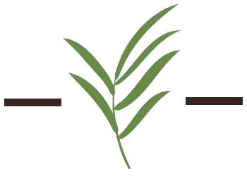 Branch