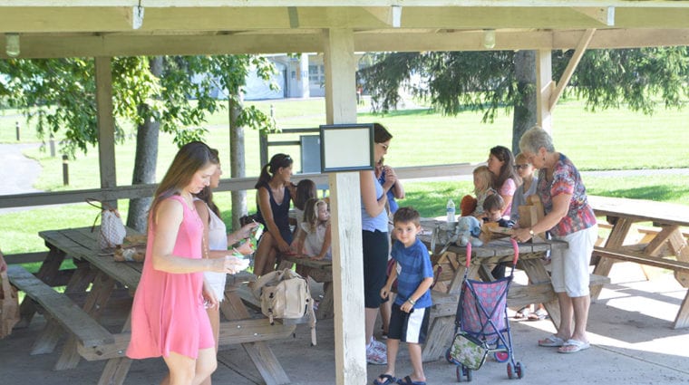 Picnic Shelter