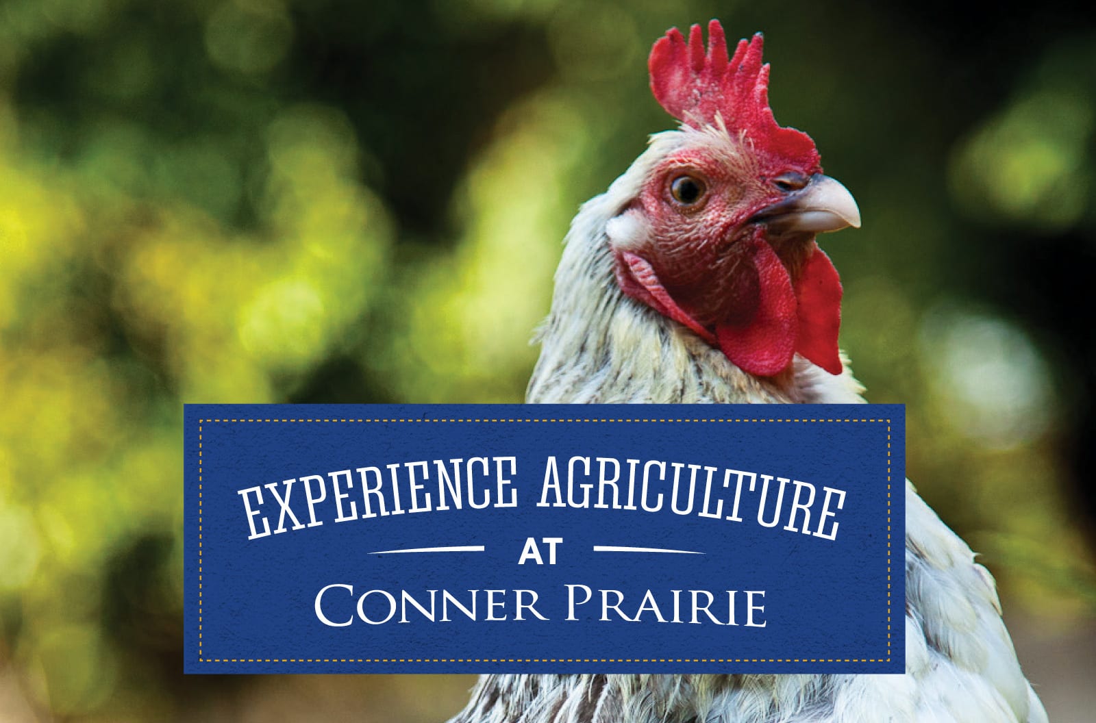 Experience Agriculture at Conner Prairie