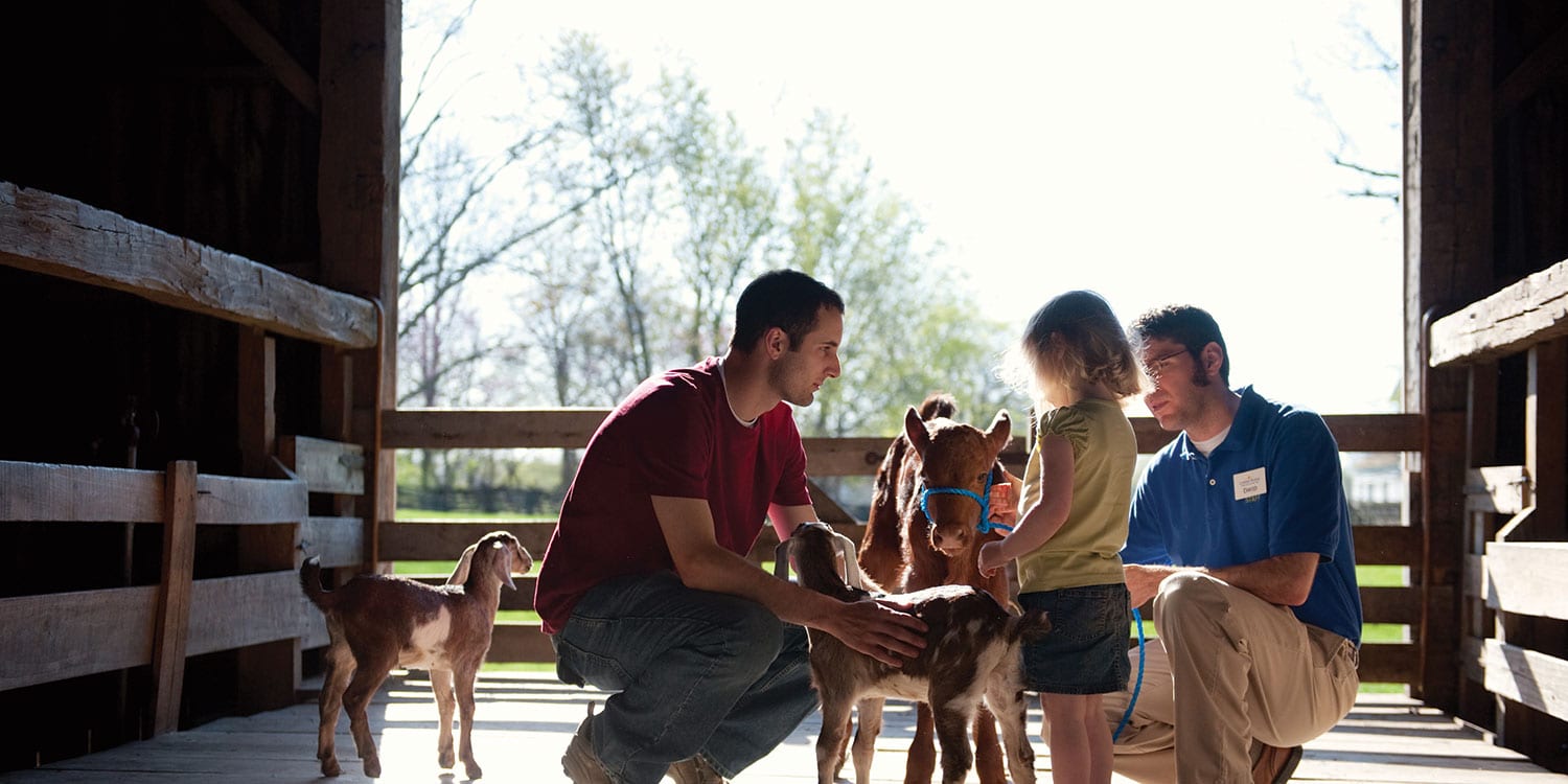 Animal Encounters