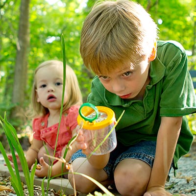 Playtime on the Prairie - Insect Investigation Playtime on the Prairie - Insect Investigation