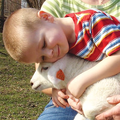 Playtime Onthe Prairie - Sheep and Wool Playtime Onthe Prairie - Sheep and Wool