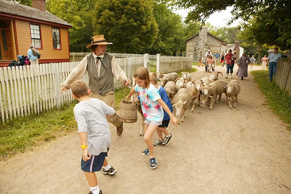 working farm