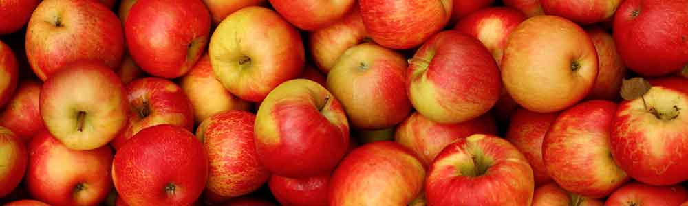 Apples Apples