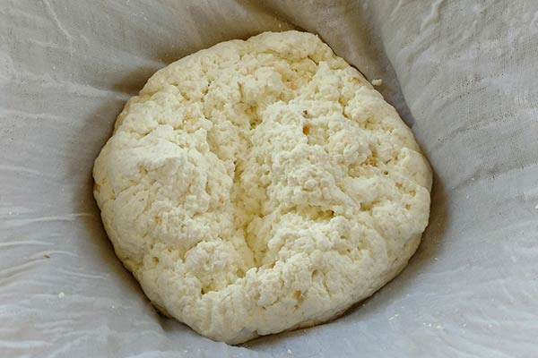 Soft Cheese