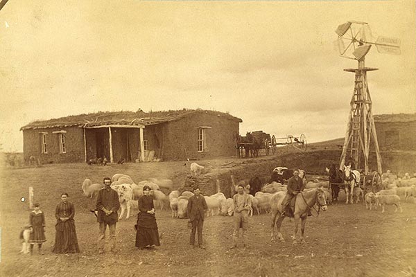farm