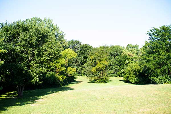Prairie House