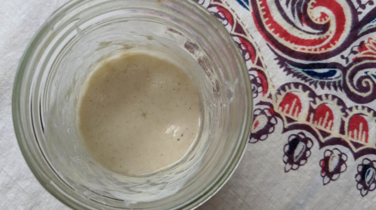 Sourdough starter