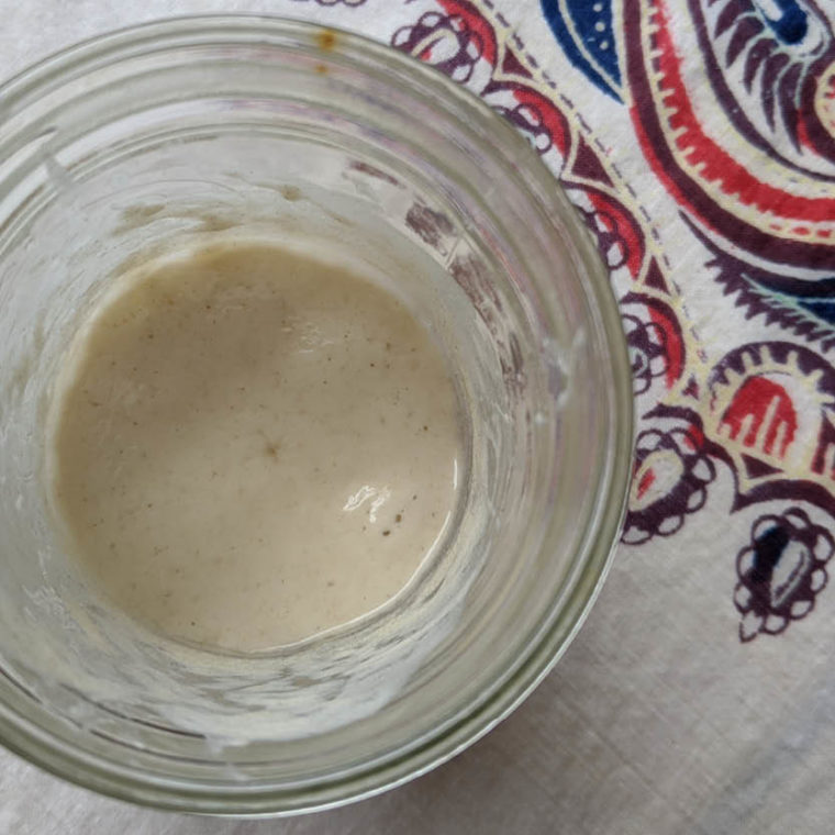Sourdough starter