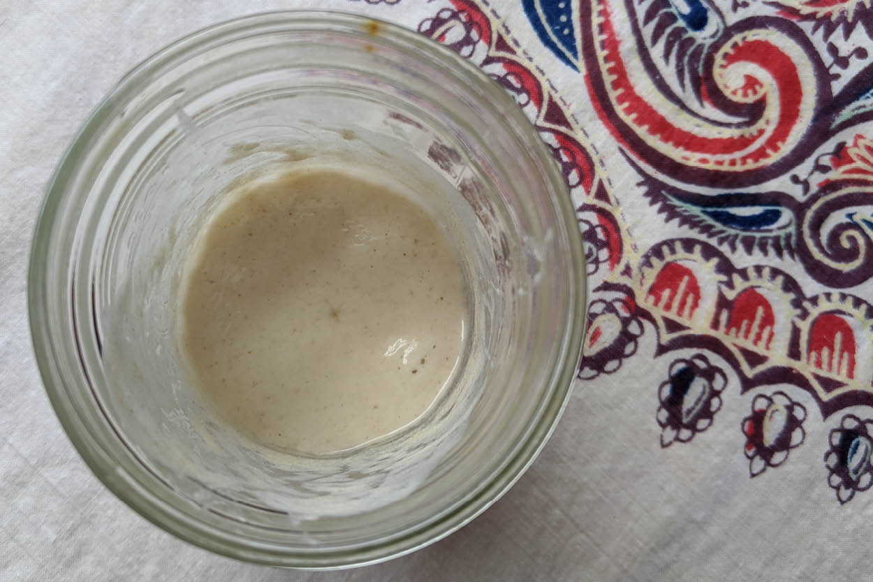 Sourdough starter Sourdough starter