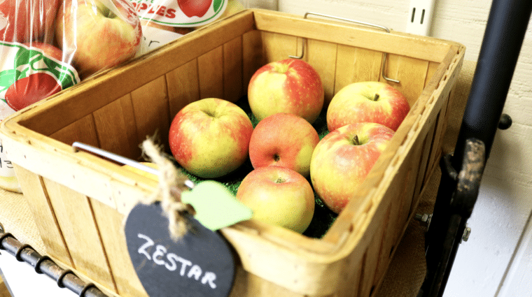 Zestar Apples