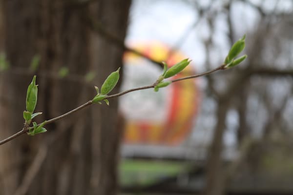 Spring at Conner Prairie