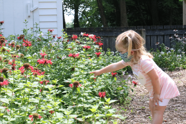 gardening
