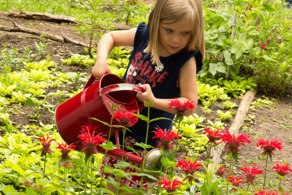 Young girl watering flowers