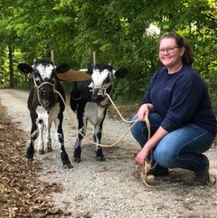 Emily Nyman with our oxen in training