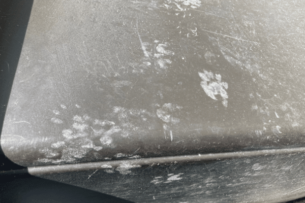 Raccoon prints on trash can