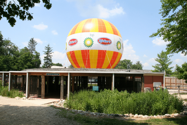 2009 Balloon at 1859 Balloon Voyage
