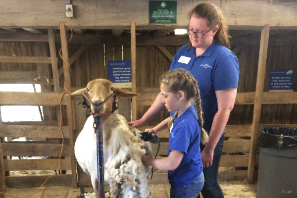 YAC Blog Youth Ag Volunteer