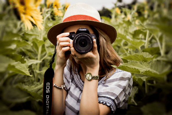 Professional Photographer taking photos in sunflower field