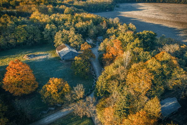 Aerial View Of Conner Prairie Grounds During Fall With Colorful Leaves