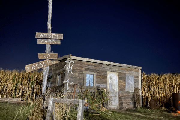 Corn Maze