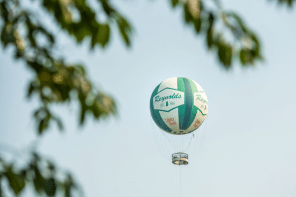 Hot Air Balloon In Flight