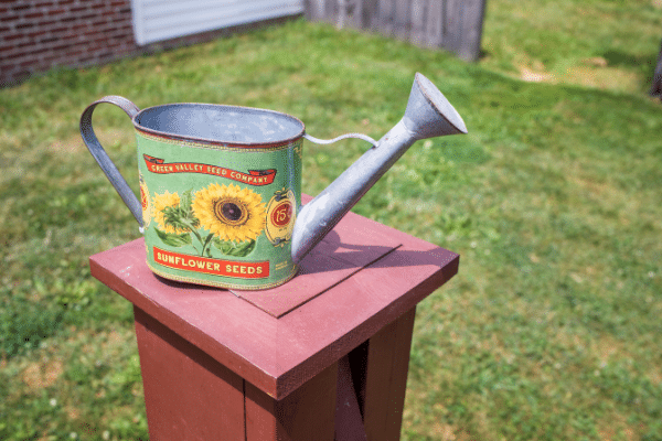 Watering Can With Sunflower Design