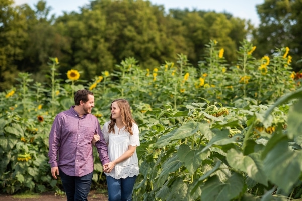 2021 Sunflower Field