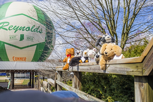 20220323StuffedAnimalCamp 1