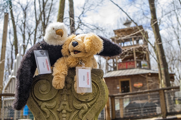 Stuffed animals at treetop