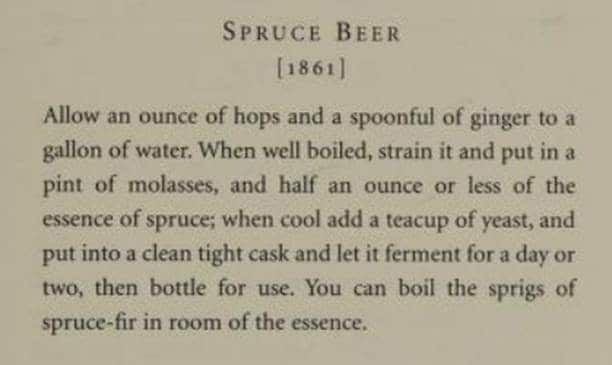 Image of how to make spruce beer