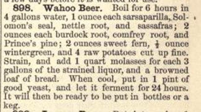 Image of how to make Wahoo Beer