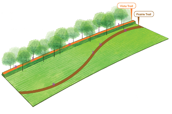 trail renderings
