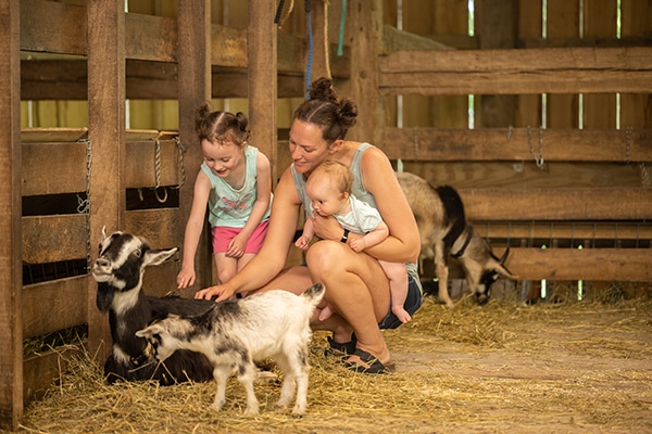 family interacting with goats