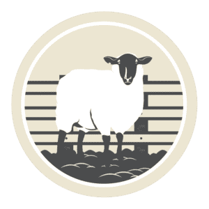 image of sheep