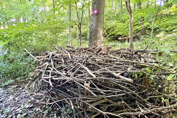 image of nests for habitat