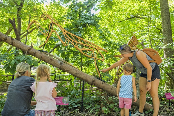 People experiencing Habitat