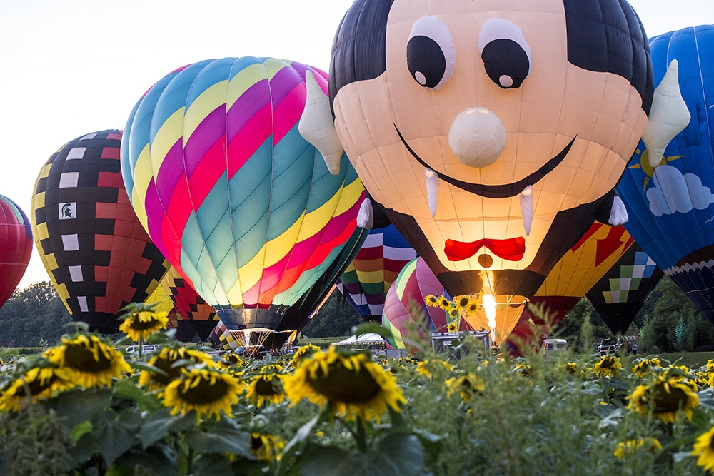 Jupiter Flights Balloon Festival Hot Air Balloons by the sunflower field