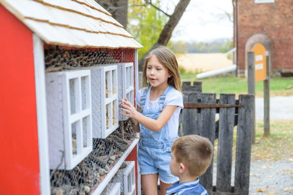 Habitat Homes