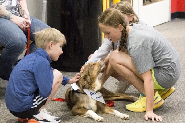 Children petting a therapy dog