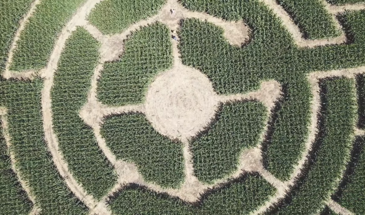 Crop Circles