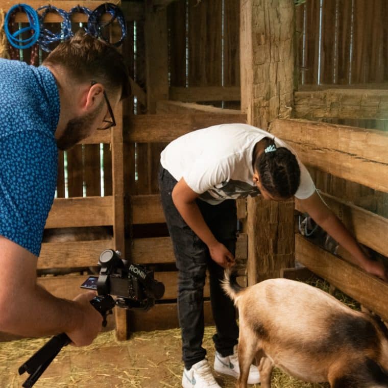 Child interacting with Goat