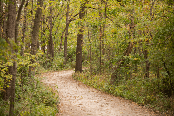 Trail