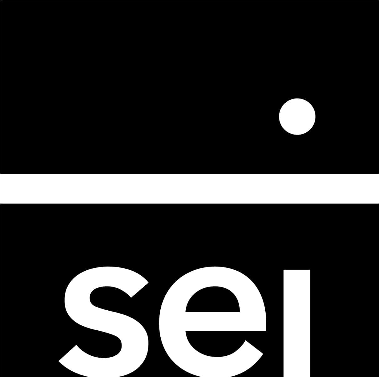 Sei Logo Final Black (1)