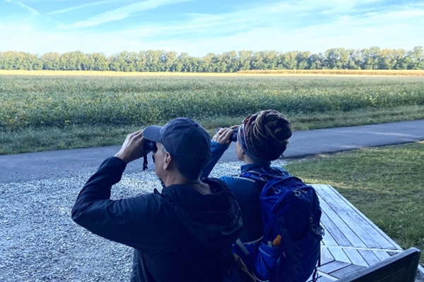 Two individuals sitting on a bench looking through binoculars