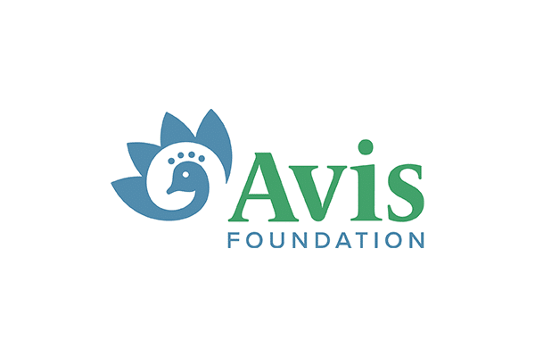 AvisFoundation AvisFoundation