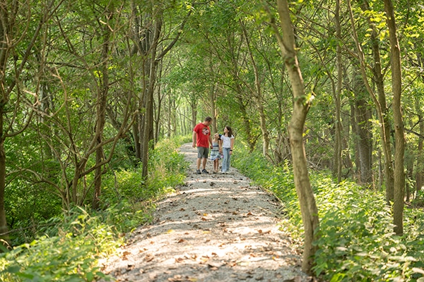 Trails 2024 96 Trails 2024 96