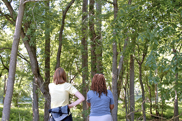 Two people looking at trees