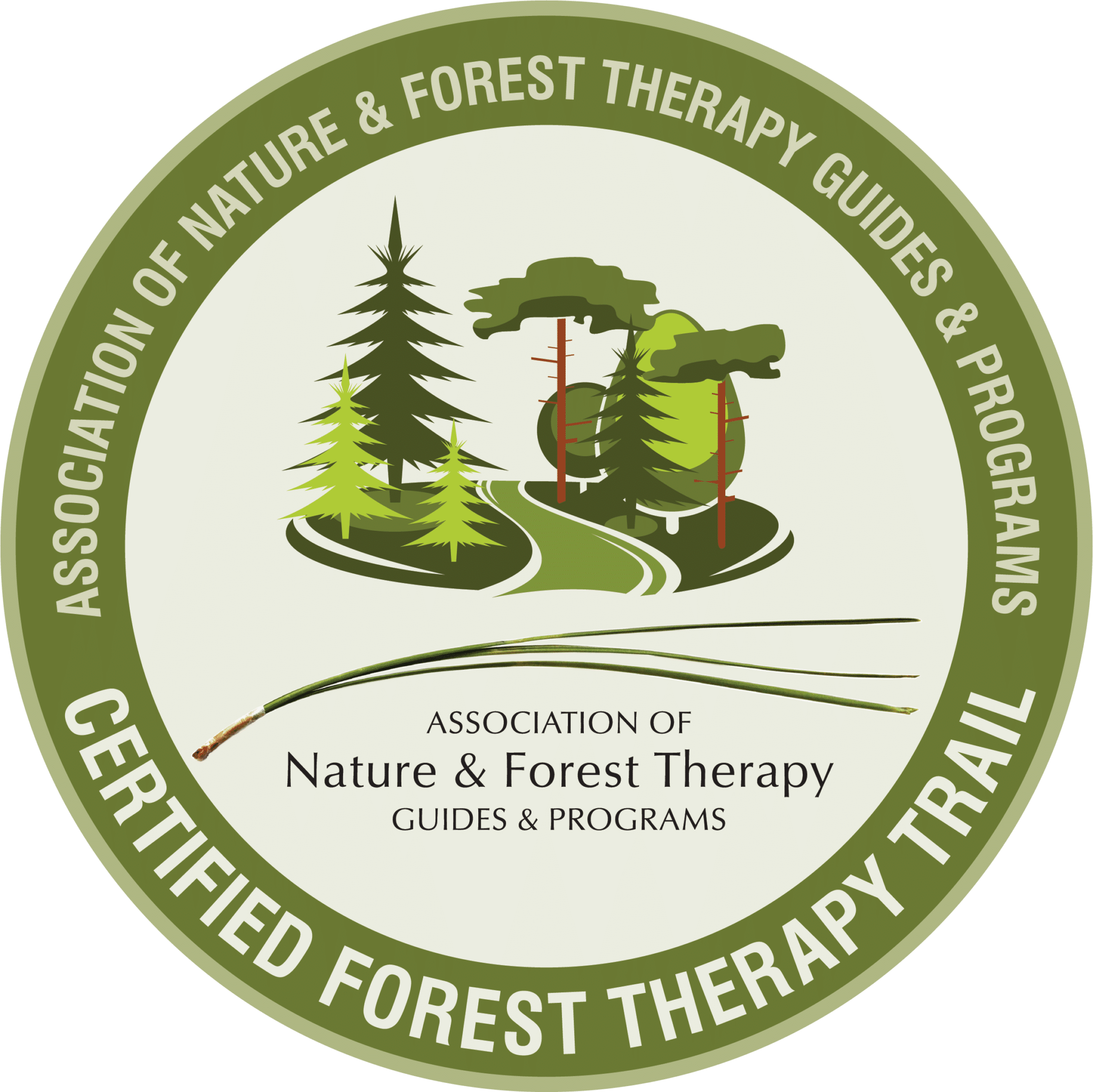 ANFT CERTIFIED FOREST THERAPY TRAIL 2024 300ppi 8 