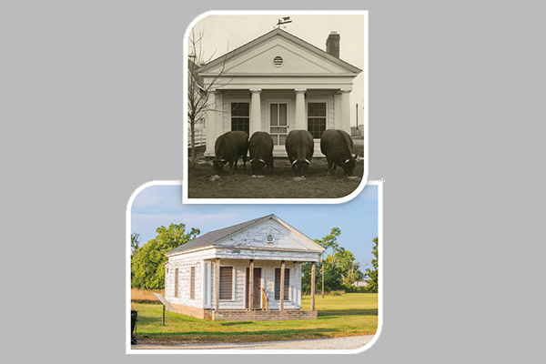 Lilly Farm Office Then And Now